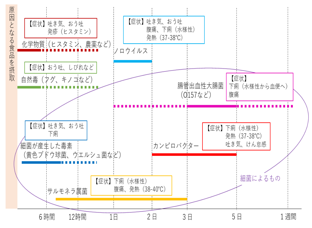食中毒　原因　時期