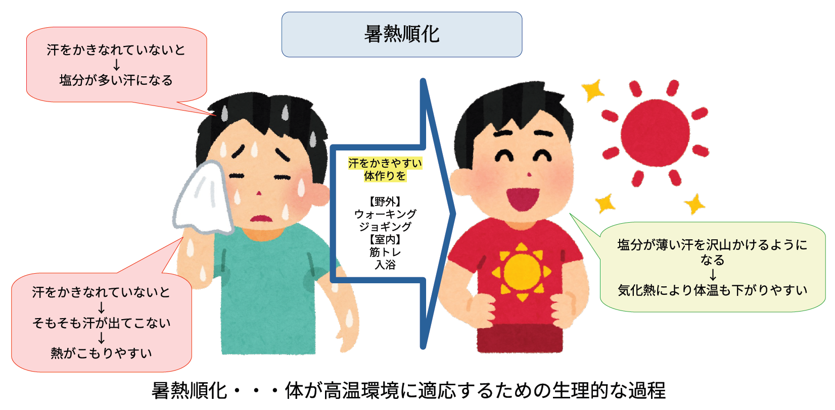 暑熱順化